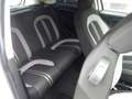 Fiat Grande Punto 1.4 8V Start  Motor  Getriebe TOP - Weiß - thumbnail 15