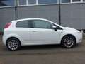 Fiat Grande Punto 1.4 8V Start  Motor  Getriebe TOP - Weiß - thumbnail 4