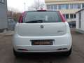 Fiat Grande Punto 1.4 8V Start  Motor  Getriebe TOP - Weiß - thumbnail 10