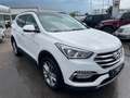 Hyundai SANTA FE blue Premium 4WD Autom. Diesel Weiß - thumbnail 3
