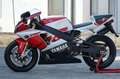 Yamaha YZF-R7 46y Rosso - thumbnail 5