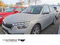 Skoda Kamiq 1.9 TSI DSG Clever AHK/Tempo/Einparkhi Grau - thumbnail 1