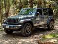 Jeep Wrangler Wrangler Unlimited 2.0 turbo Rubicon Grijs - thumbnail 1