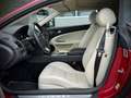 Jaguar XK 5.0 Convertible / Portfolio / Bowers&Wilkins / Ita Rood - thumbnail 32