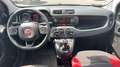 Fiat Panda III 1.2 69 Easy Blanc - thumbnail 11