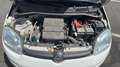 Fiat Panda III 1.2 69 Easy Blanc - thumbnail 15
