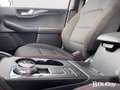Ford Kuga 2.5 Plug In Hybrid 225 CV CVT 2WD ST-Line X Grigio - thumbnail 14