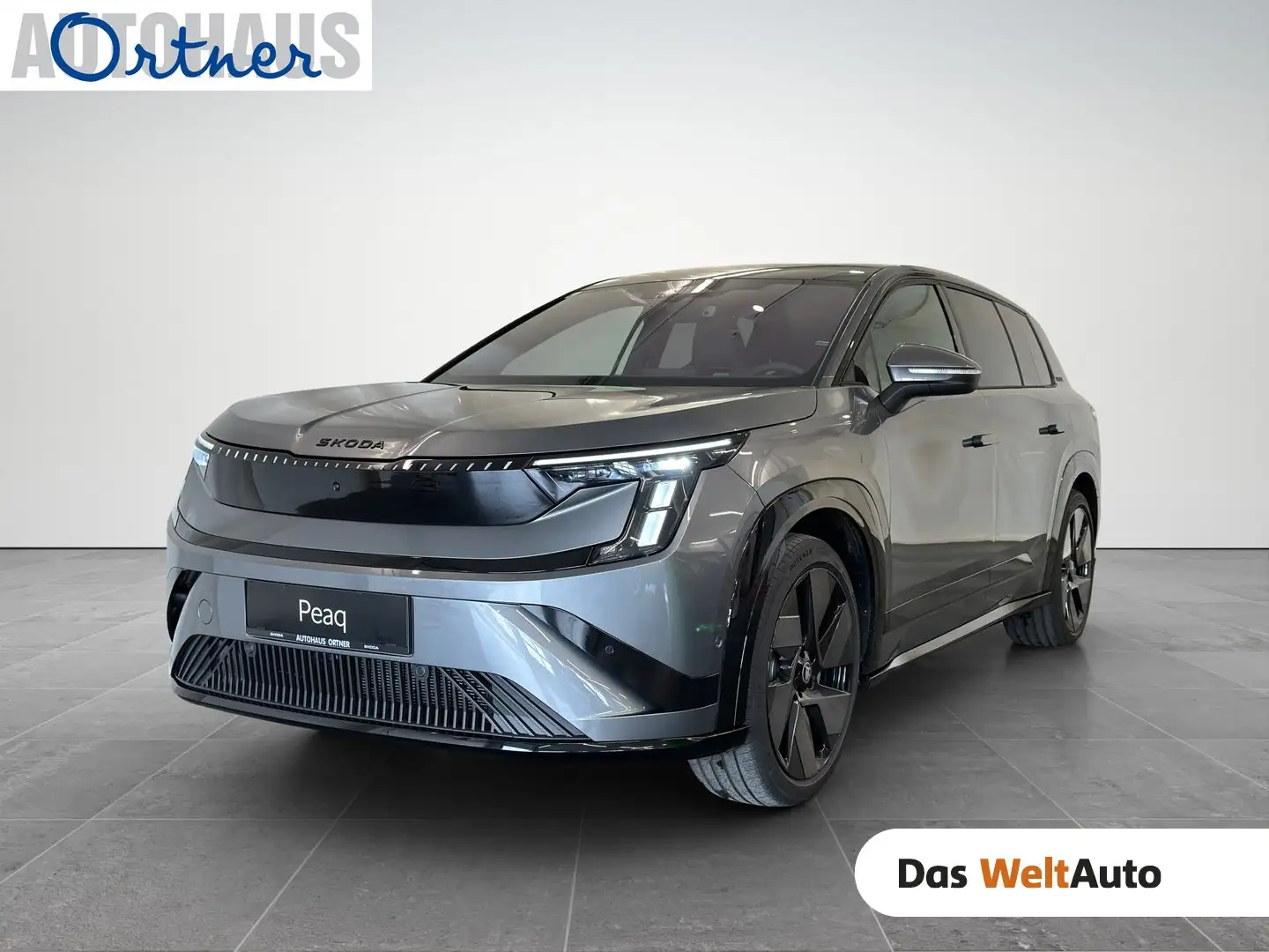 Skoda Peaq Sportline 90x Grau - 1