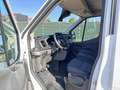Ford Transit L2H2 2.0Tdci 130Pk | Trend | Frozen White Blanc - thumbnail 6