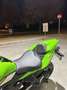 Kawasaki ZXR 400 Zx4rr-performance - thumbnail 8