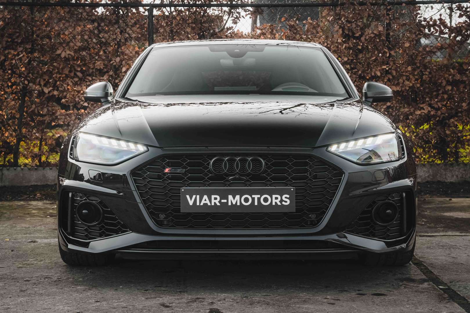 Audi RS4 Avant 25 Years Edition TFSI -  - Joinsteer - #3