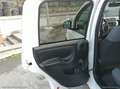 Fiat Panda 0.9 TwinAir Turbo Nat. Pow. Lounge PROMO WEB Weiß - thumbnail 16