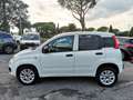 Fiat Panda 0.9 TwinAir Turbo Nat. Pow. Lounge PROMO WEB Weiß - thumbnail 30