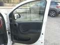 Fiat Panda 0.9 TwinAir Turbo Nat. Pow. Lounge PROMO WEB Weiß - thumbnail 22