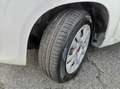 Fiat Panda 0.9 TwinAir Turbo Nat. Pow. Lounge PROMO WEB Weiß - thumbnail 34