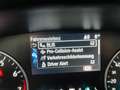 Ford EcoSport Titanium verschiedene Modelle vorrätig Blau - thumbnail 16