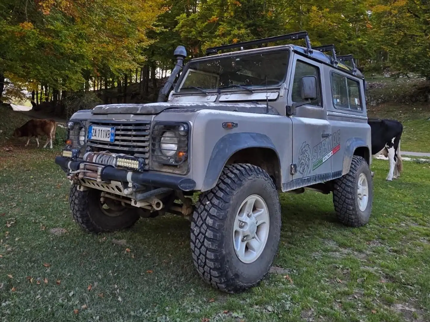 Land Rover Defender Defender 90 2.5 tdi Hard Top Argento - 2