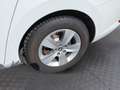 Skoda Superb Combi Ambition Weiß - thumbnail 13