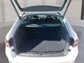 Skoda Superb Combi Ambition Weiß - thumbnail 11