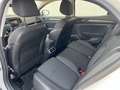 Renault Megane 1.5dCi Blue Equilibre 85kW Blanco - thumbnail 10
