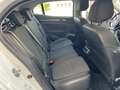 Renault Megane 1.5dCi Blue Equilibre 85kW Blanco - thumbnail 12