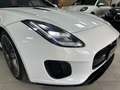 Jaguar F-Type R-Dynamic 2.0 Twinturbo Bianco - thumbnail 12