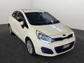 Kia Rio 1.2 86CV EX Plus Bianco - thumbnail 3