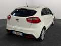 Kia Rio 1.2 86CV EX Plus Bianco - thumbnail 4