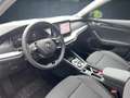 Skoda Octavia Combi 1,5 TSI DSG Selection Navi LED SHZ Grau - thumbnail 10