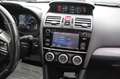 Subaru Levorg 1.6 Comfort 4x4 LED/Kamera/SHZ/Schiebedac Rojo - thumbnail 14