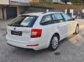 Skoda Octavia Octavia Combi 1,6 Ambition TDI 4x4 Green tec Ambition Weiß - thumbnail 16