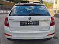 Skoda Octavia Octavia Combi 1,6 Ambition TDI 4x4 Green tec Ambition Weiß - thumbnail 17