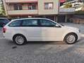 Skoda Octavia Octavia Combi 1,6 Ambition TDI 4x4 Green tec Ambition Weiß - thumbnail 15