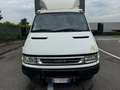 Iveco Daily iveco Daily, anno 2005, patente C, gemellato - thumbnail 4