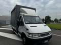 Iveco Daily iveco Daily, anno 2005, patente C, gemellato - thumbnail 11