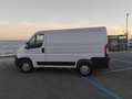 Opel Movano 120CV Bianco - thumbnail 4