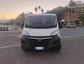 Opel Movano 120CV Bianco - thumbnail 1