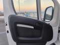 Opel Movano 120CV Bianco - thumbnail 10