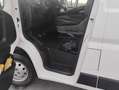 Opel Movano 120CV Bianco - thumbnail 11