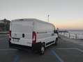 Opel Movano 120CV Bianco - thumbnail 6