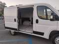 Opel Movano 120CV Bianco - thumbnail 5