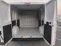 Opel Movano 120CV Blanc - thumbnail 17