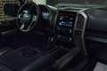 Ford F 150 McGregor Gris - thumbnail 11