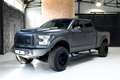 Ford F 150 McGregor Gris - thumbnail 1
