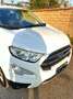 Ford EcoSport EcoSport 1.5 tdci Titanium s Bianco - thumbnail 2