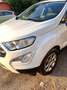 Ford EcoSport EcoSport 1.5 tdci Titanium s Bianco - thumbnail 1