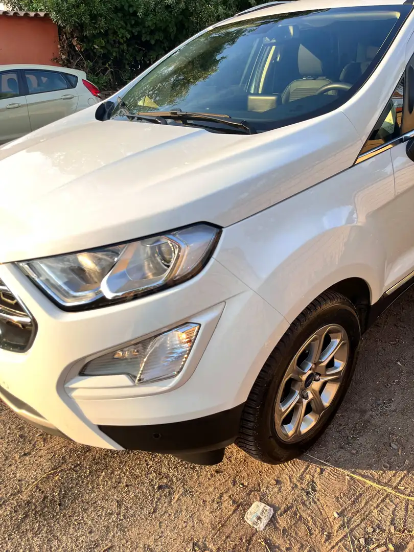 Ford EcoSport EcoSport 1.5 tdci Titanium s Bianco - 1