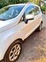 Ford EcoSport EcoSport 1.5 tdci Titanium s Bianco - thumbnail 3