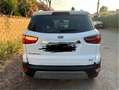 Ford EcoSport EcoSport 1.5 tdci Titanium s Bianco - thumbnail 5
