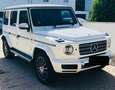 Mercedes-Benz G 500 AMG Line Nappa 360° Designo Blanco - thumbnail 3
